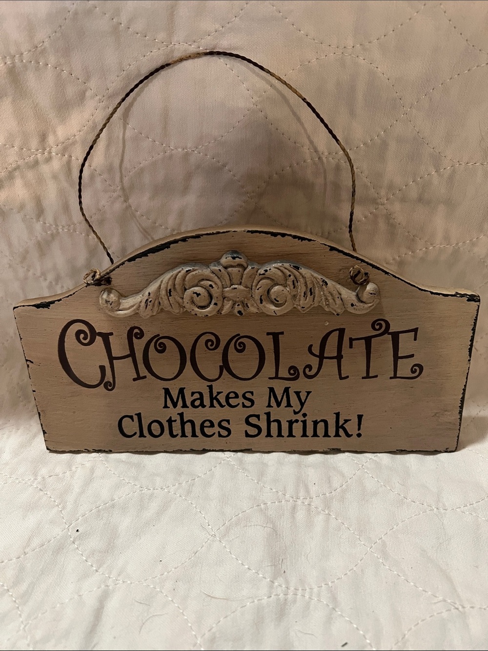 Chocolate Makes My Clothes Shrink! Rustic Beige Wall Sign